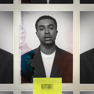 广东东莞一级毛片免费
